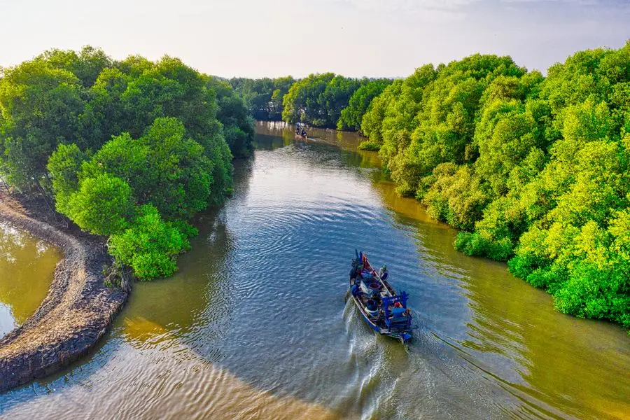 SUNDARBANS - West Bengal